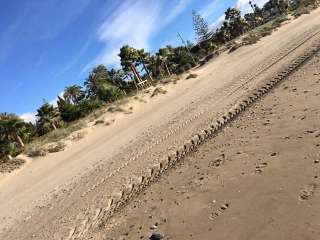 Apartamento Beachfront La Jacaranda マルベーリャ エクステリア 写真